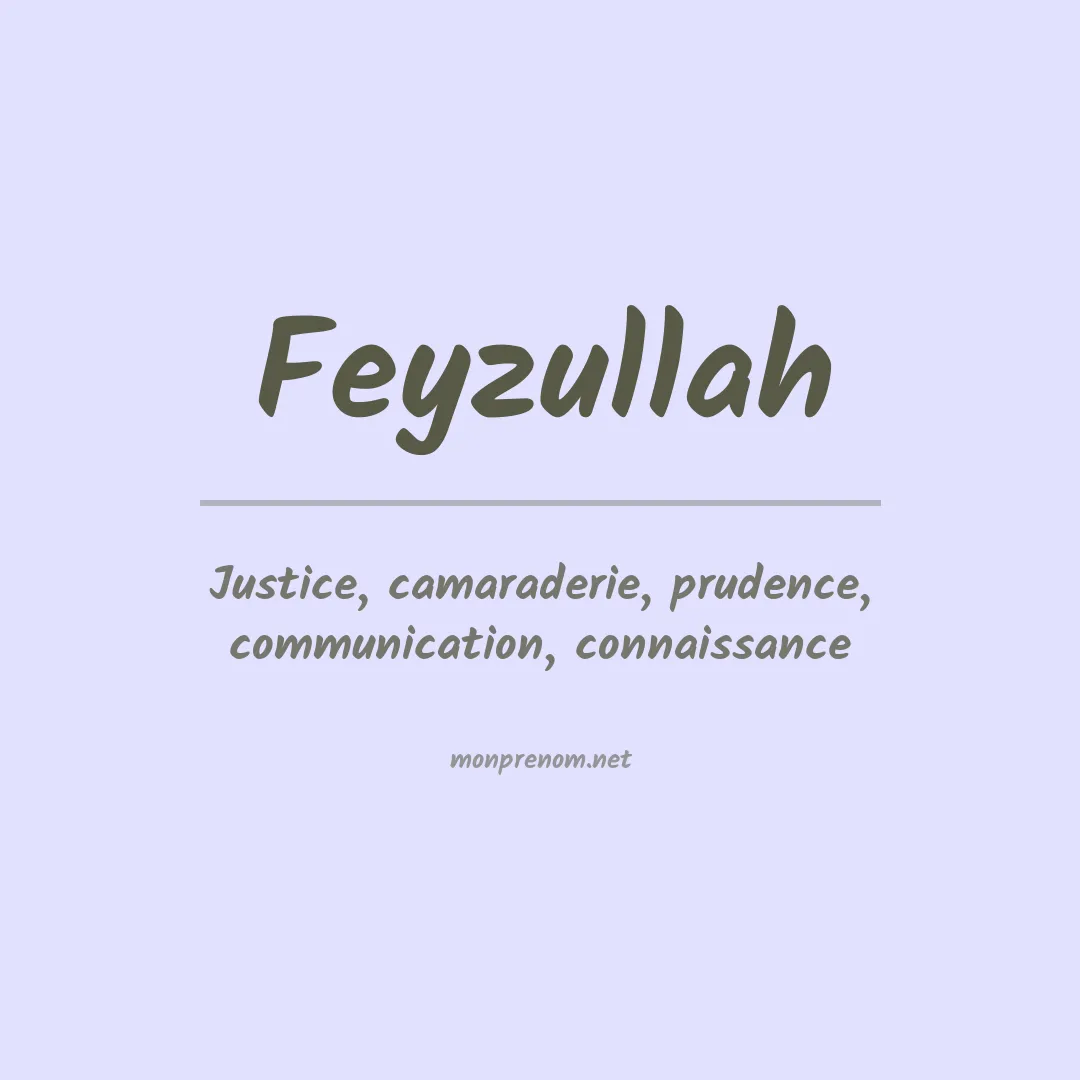 Signification du prénom Feyzullah