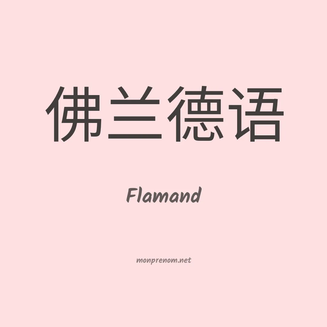 Flamand en chinois