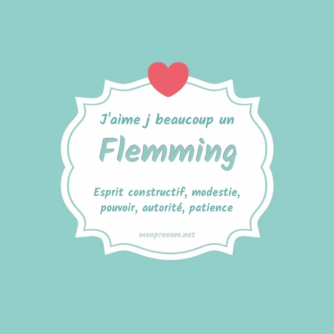 J'aime beaucoup Flemming