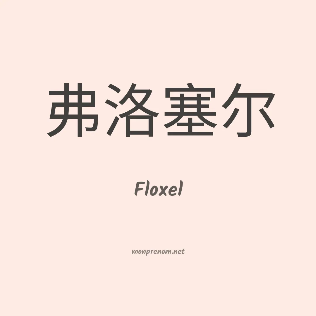 Floxel en chinois
