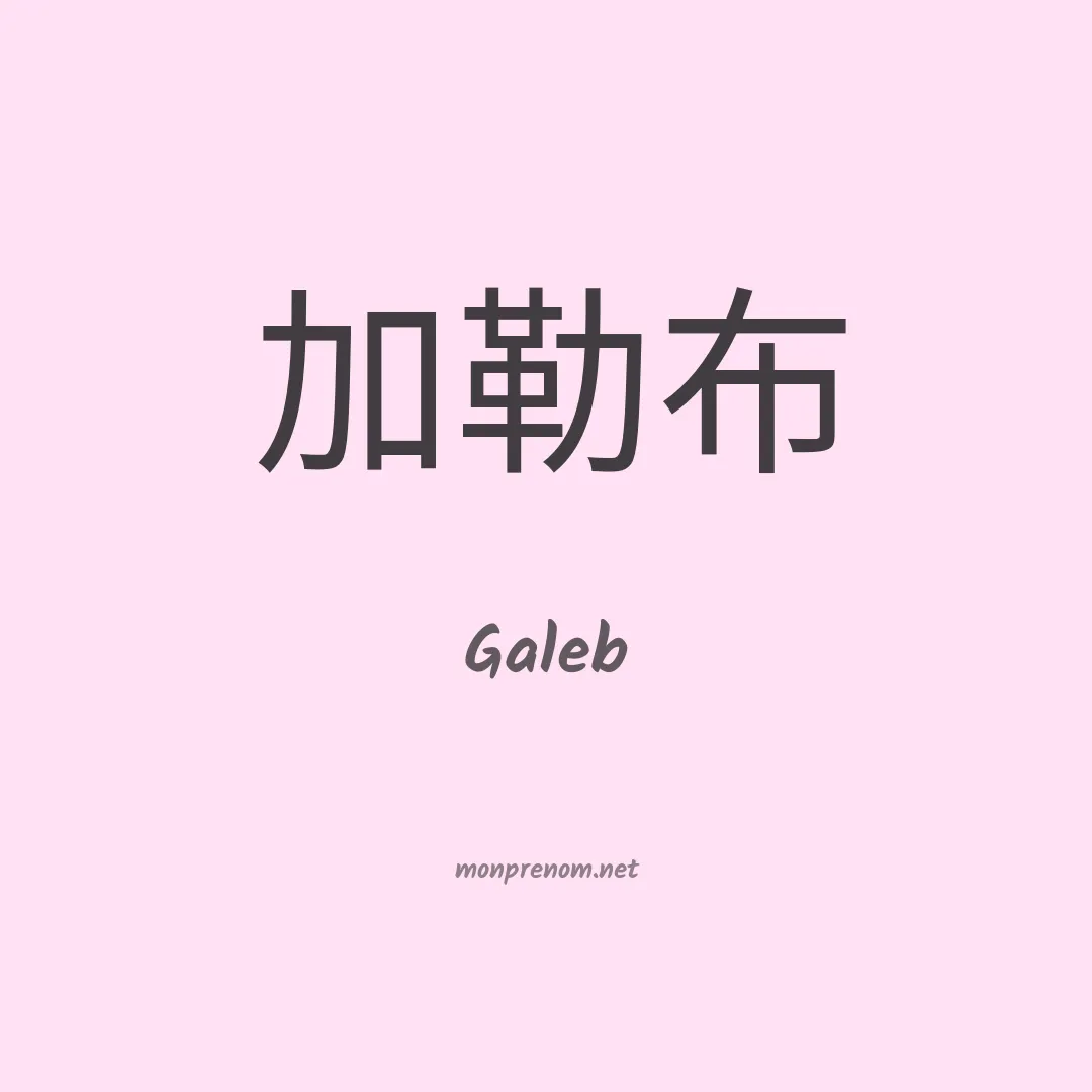 Galeb en chinois