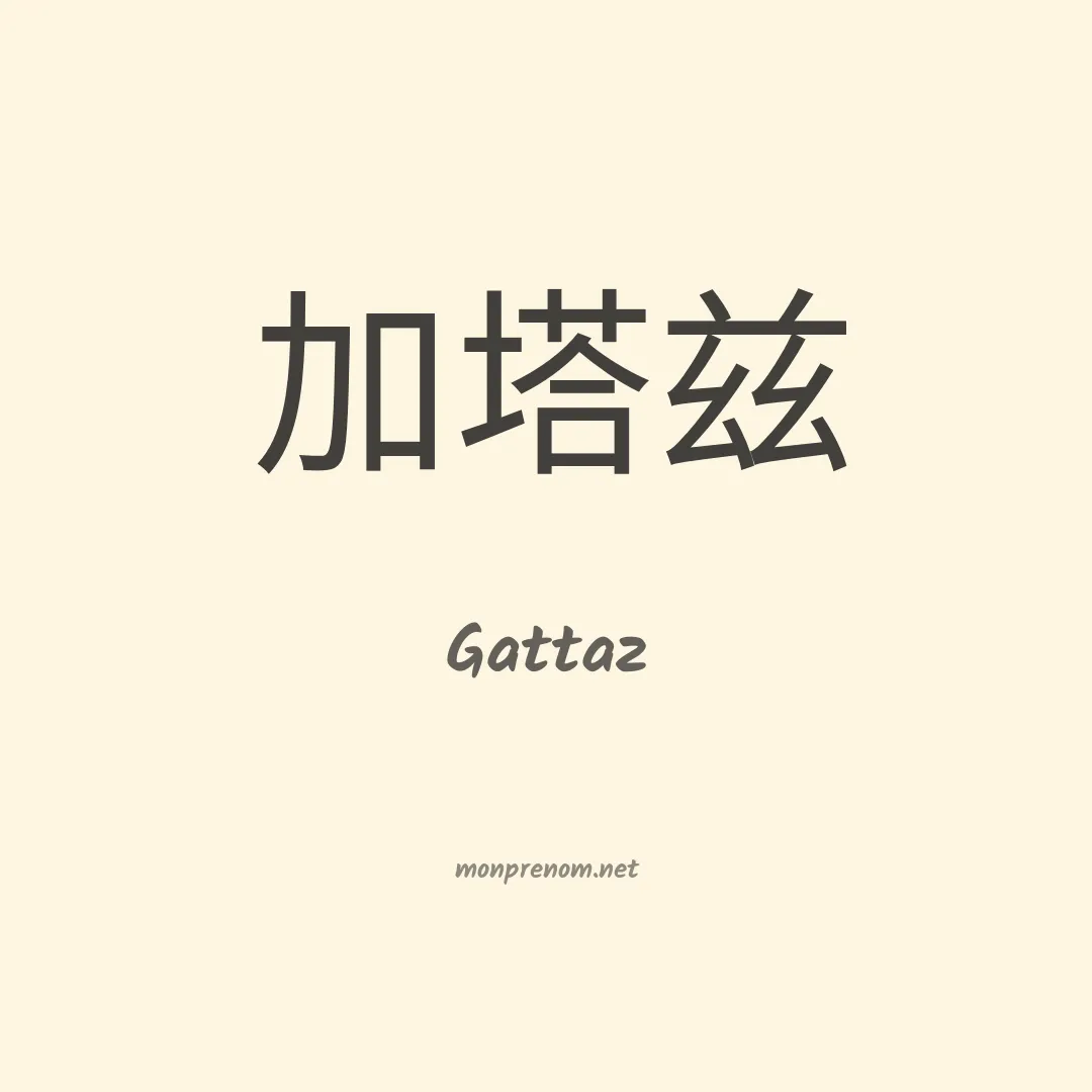 Gattaz en chinois