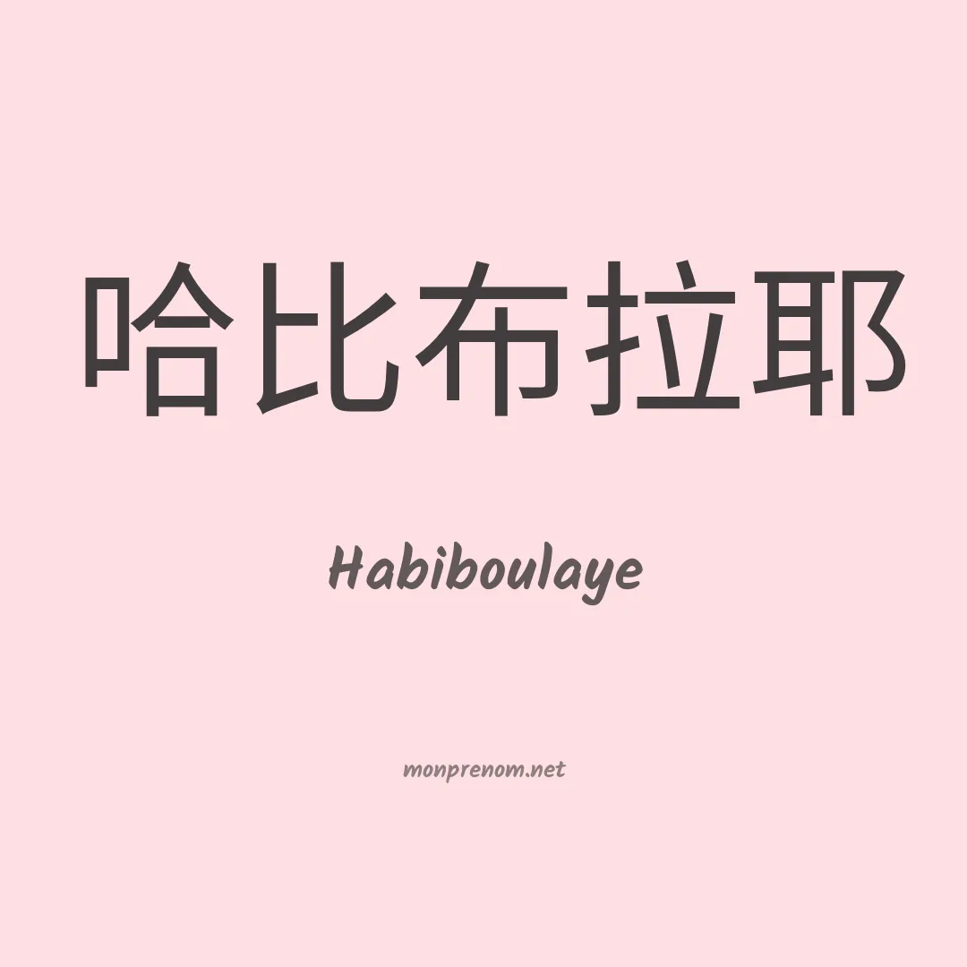 Habiboulaye en chinois