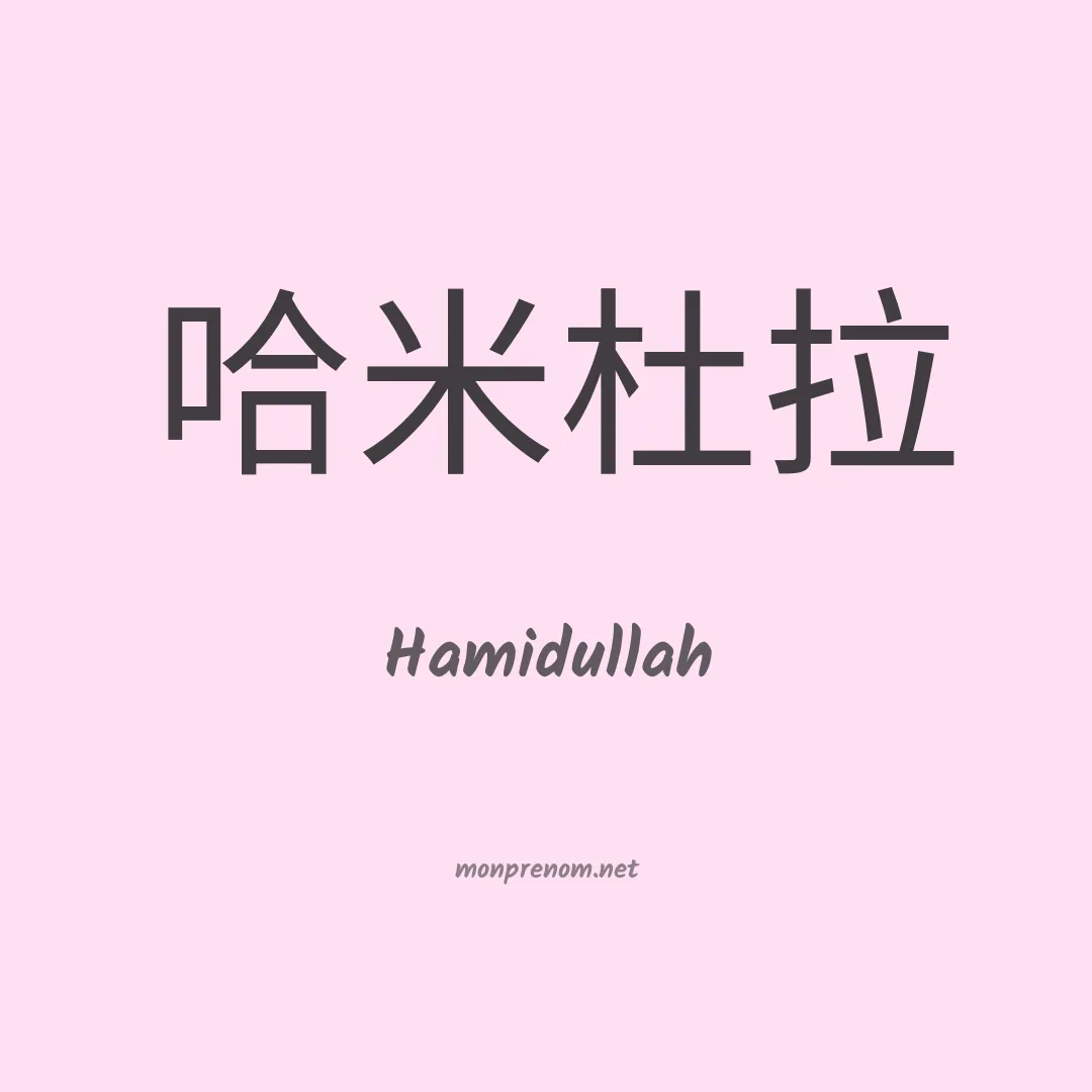 Hamidullah en chinois