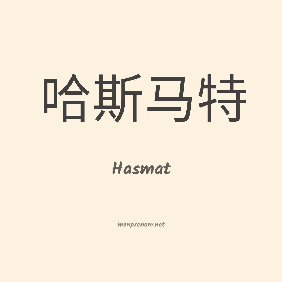 Hasmat en chinois