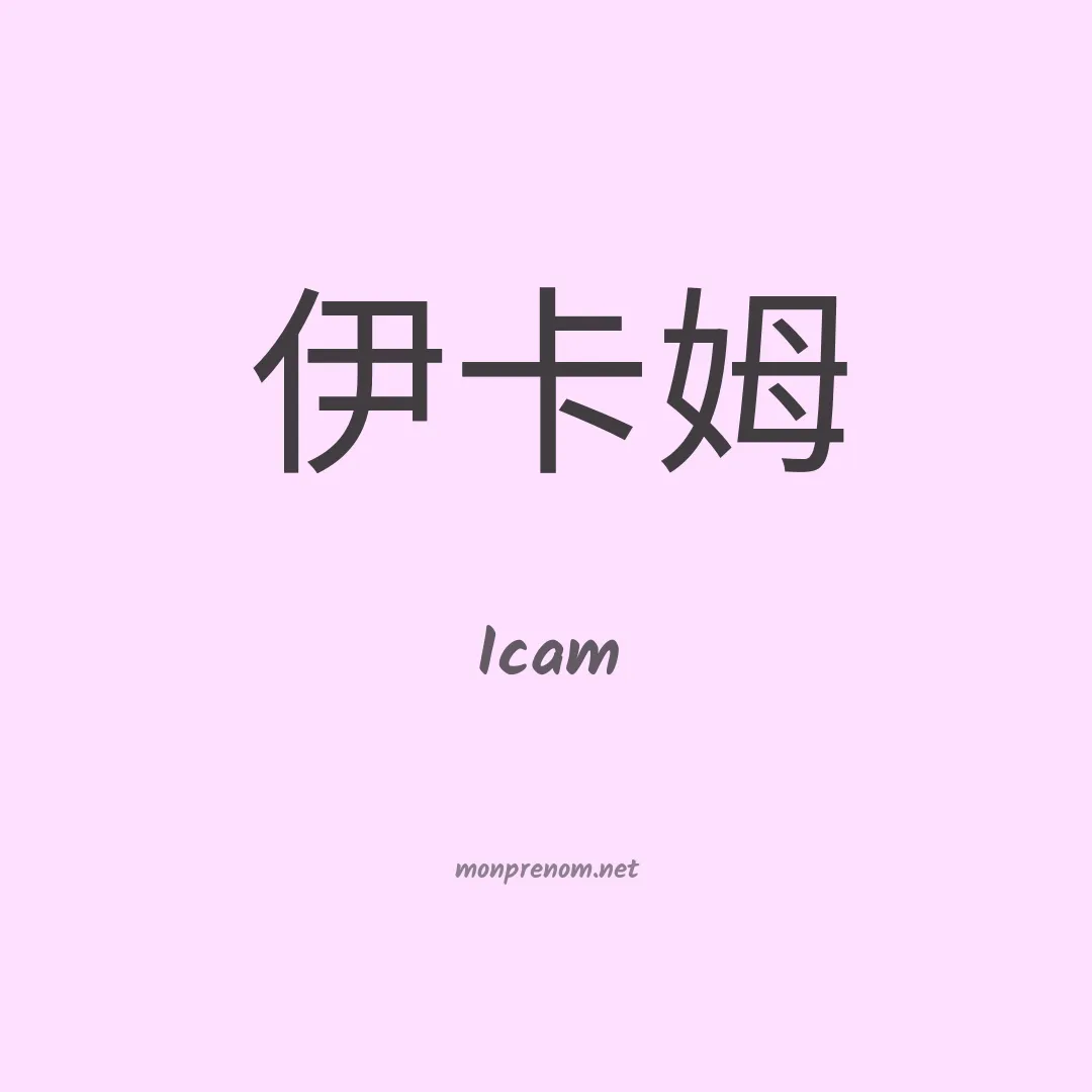 Icam en chinois