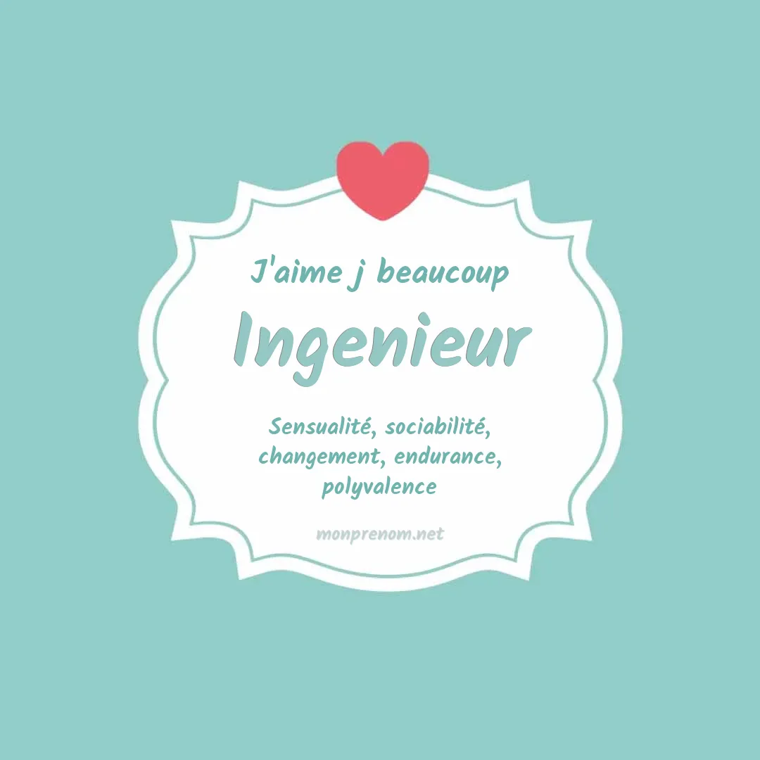 J'aime beaucoup Ingenieur