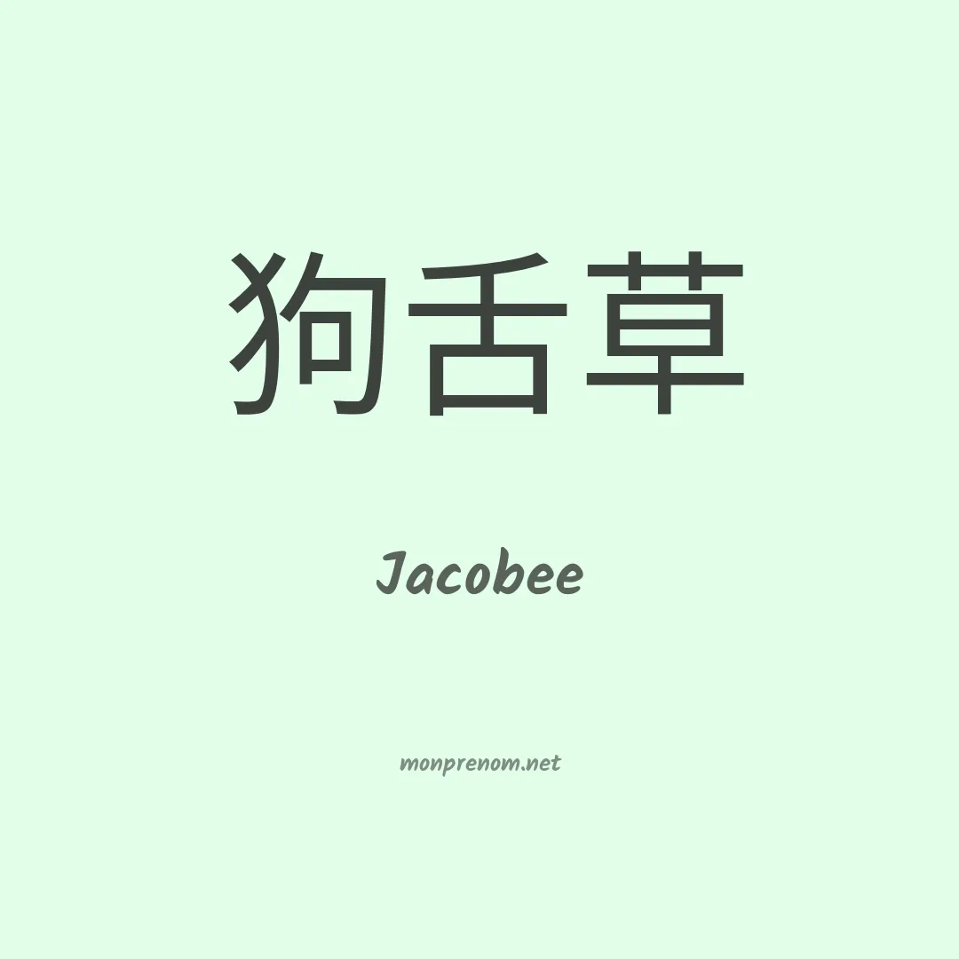 Jacobee en chinois