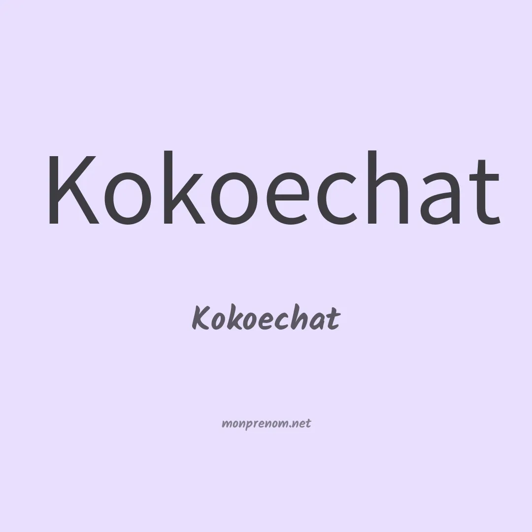 Kokoechat en chinois