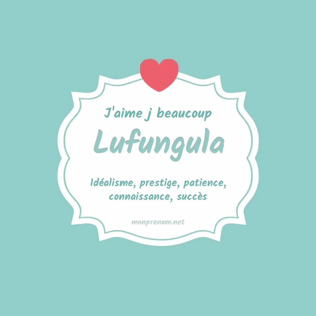 J'aime beaucoup Lufungula