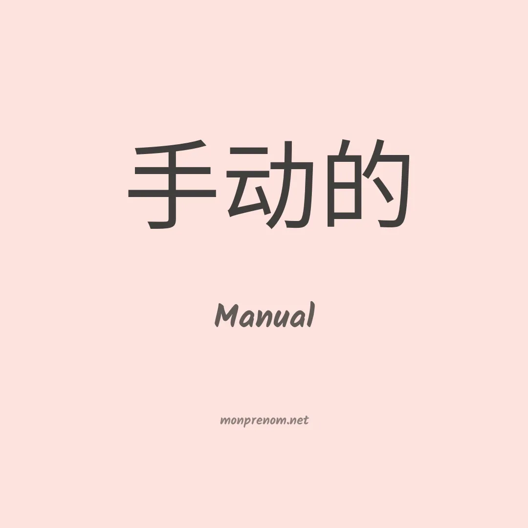 Manual en chinois