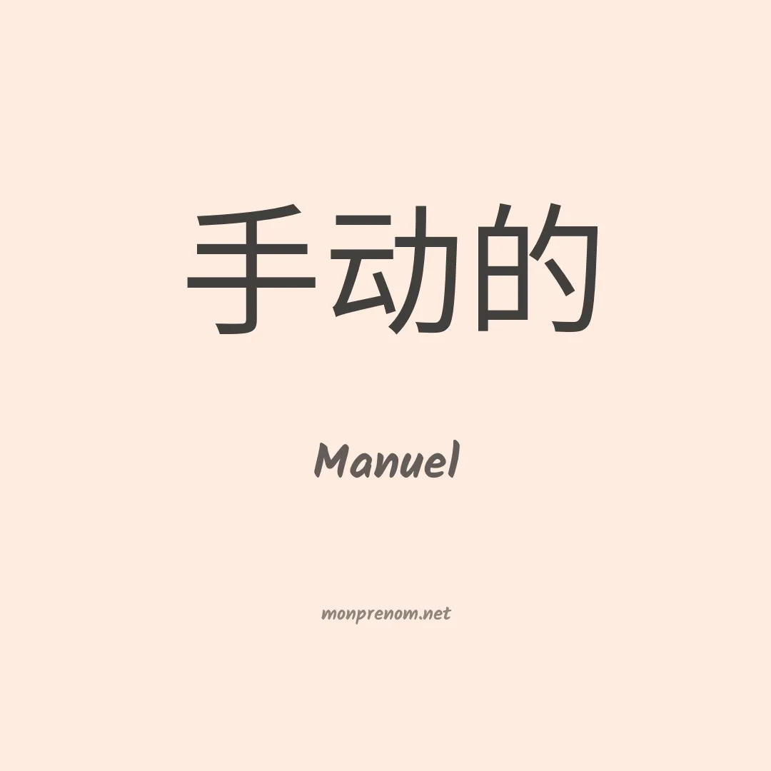Manuel en chinois