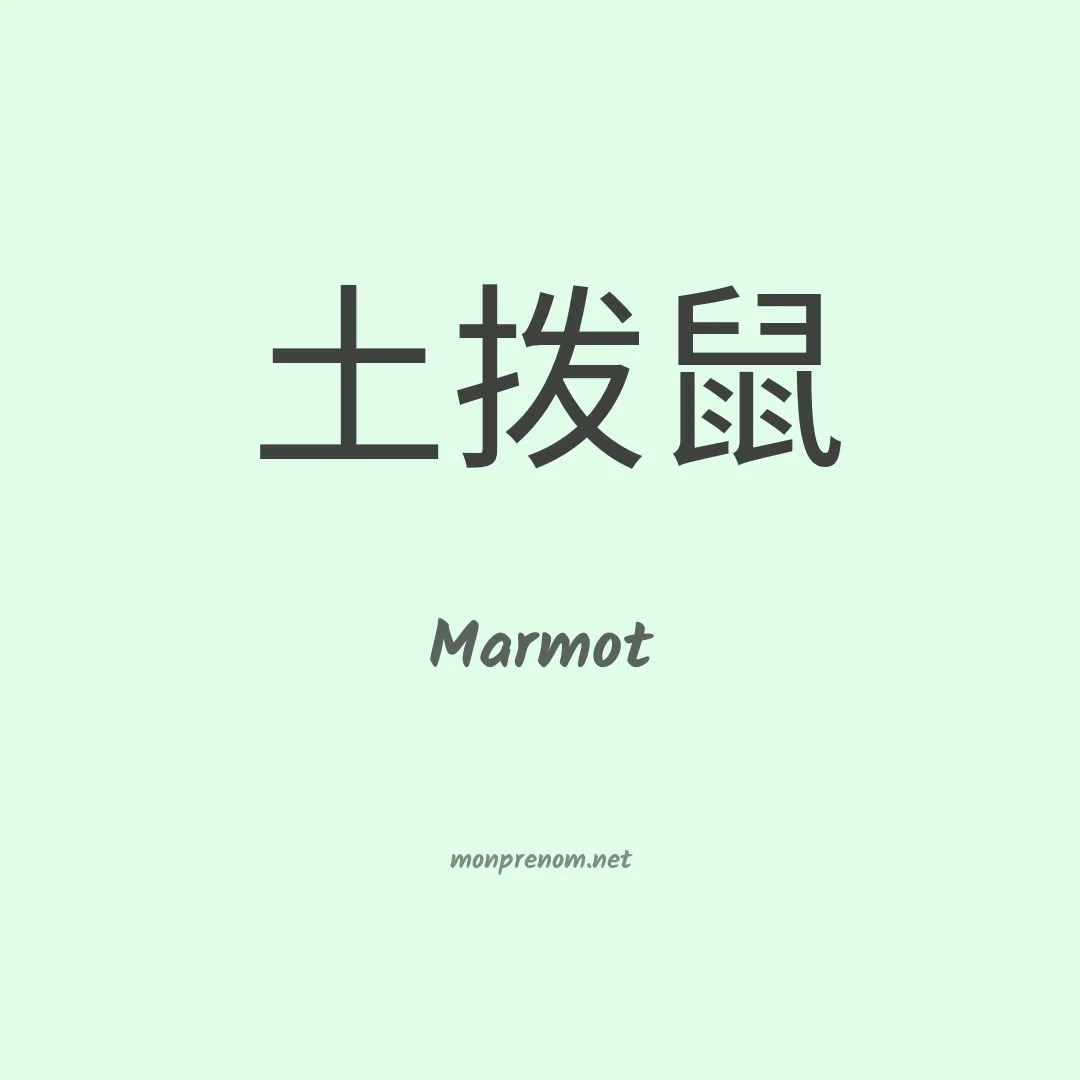 Marmot en chinois