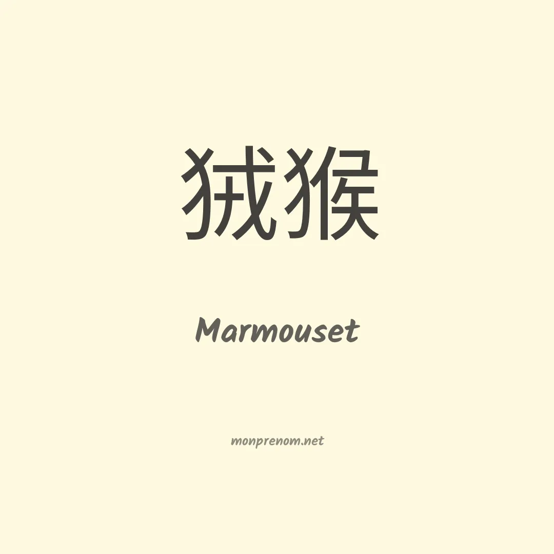 Marmouset en chinois