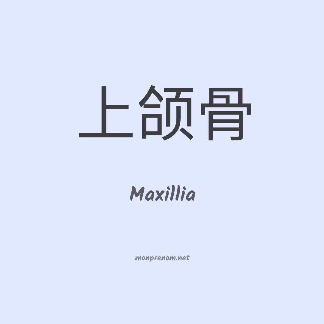 Maxillia en chinois
