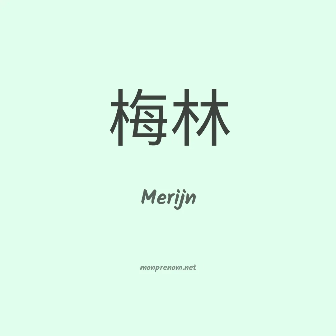 Merijn en chinois
