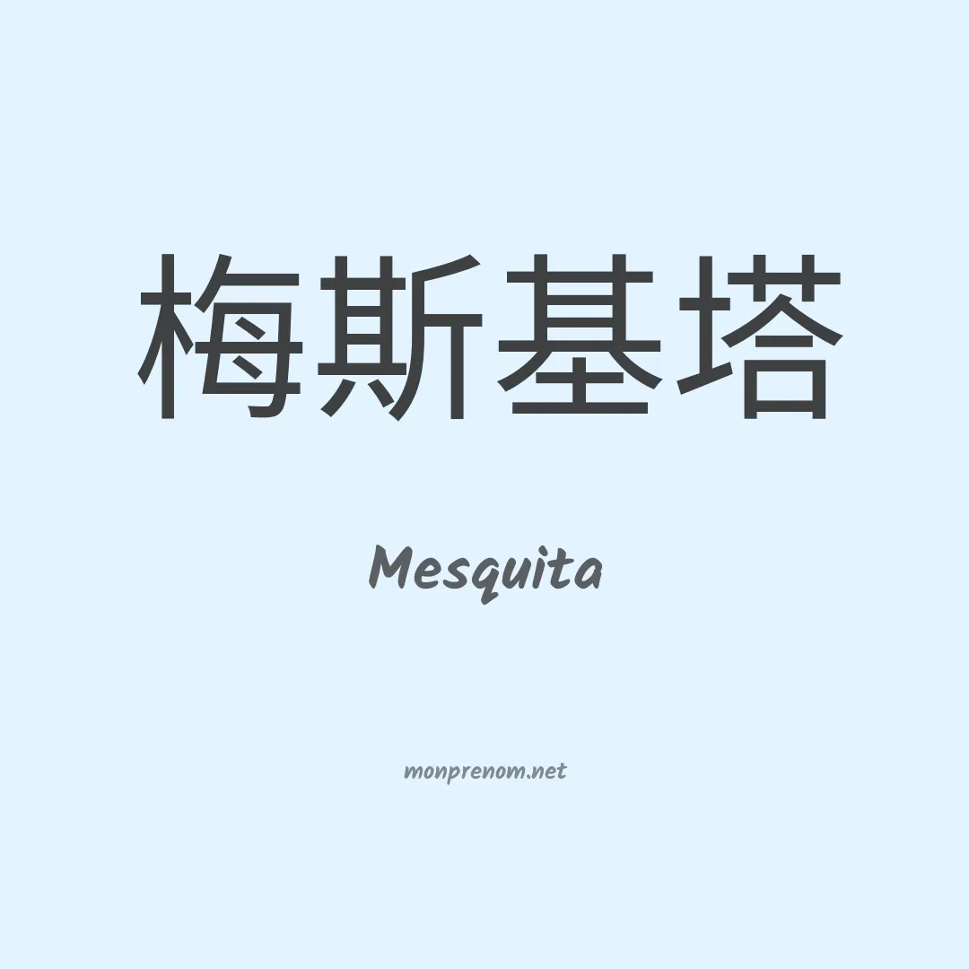 Mesquita en chinois