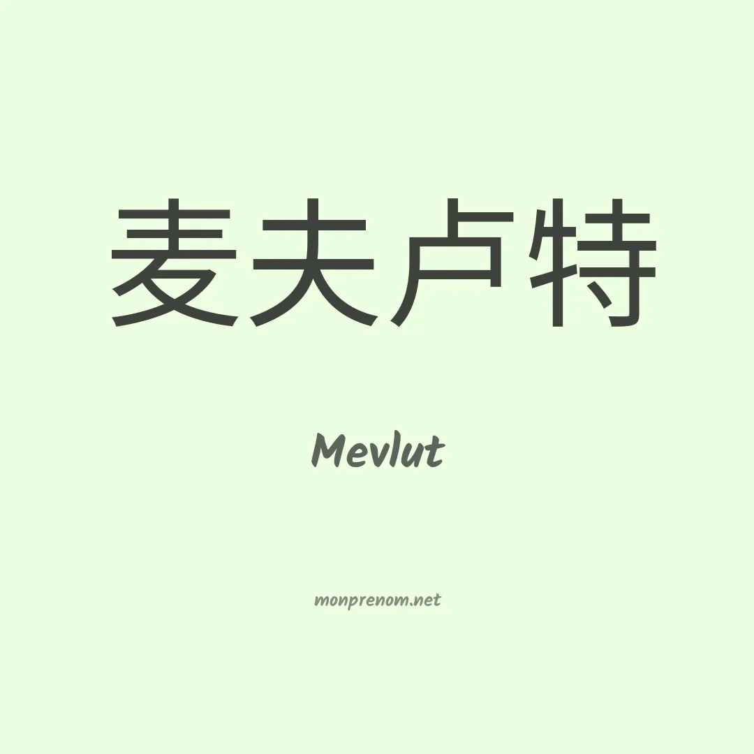 Mevlut en chinois