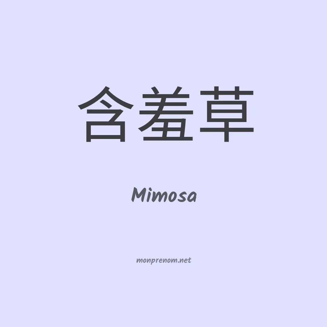 Mimosa en chinois