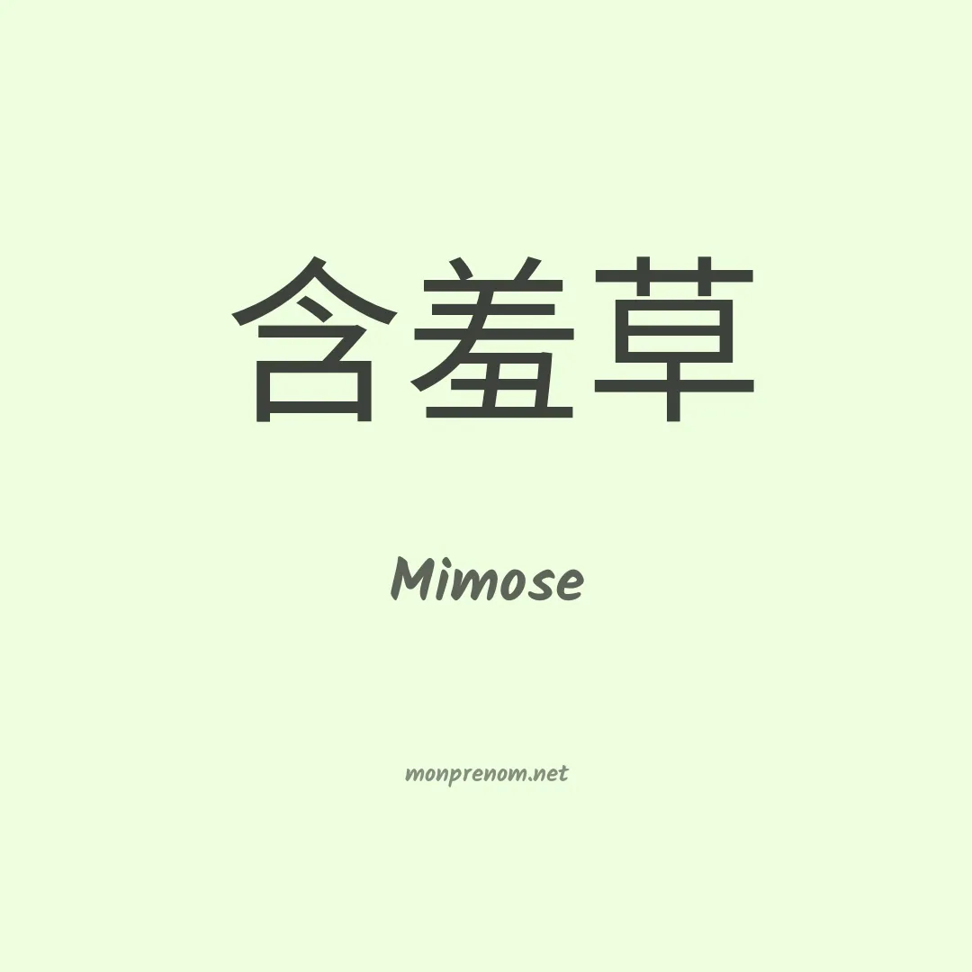 Mimose en chinois