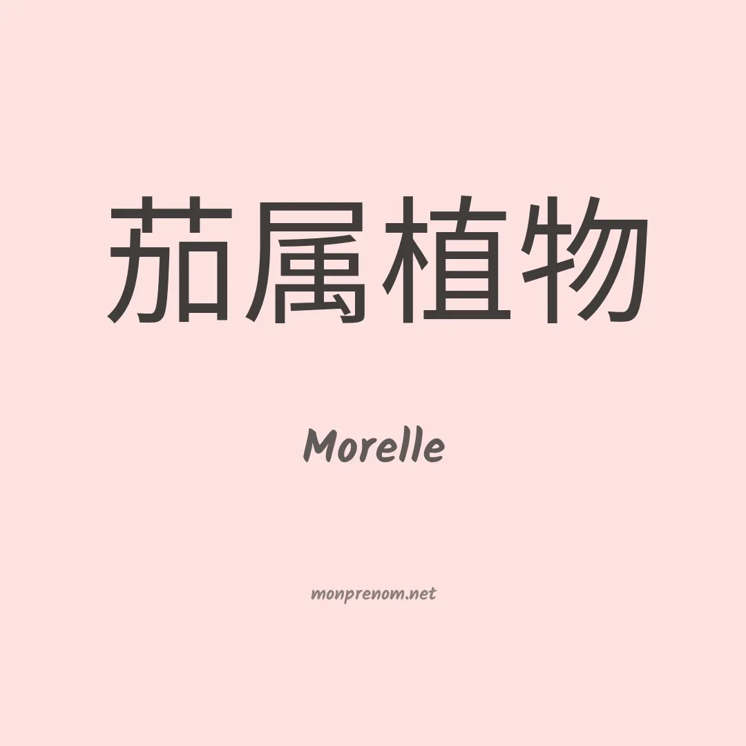 Morelle en chinois