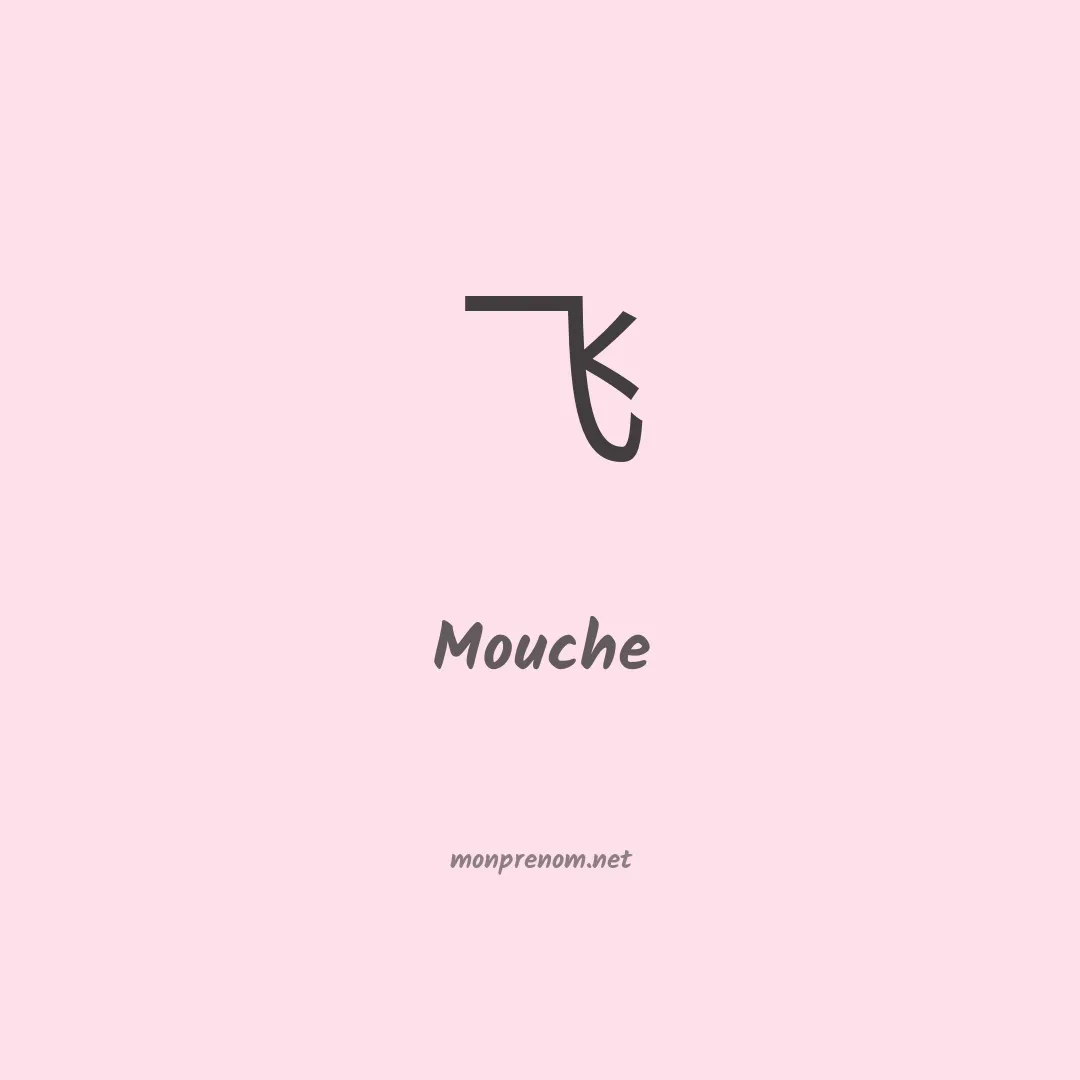 Mouche en chinois