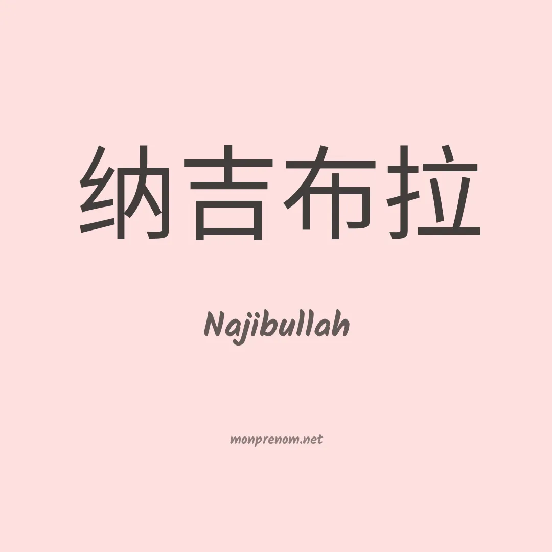 Najibullah en chinois