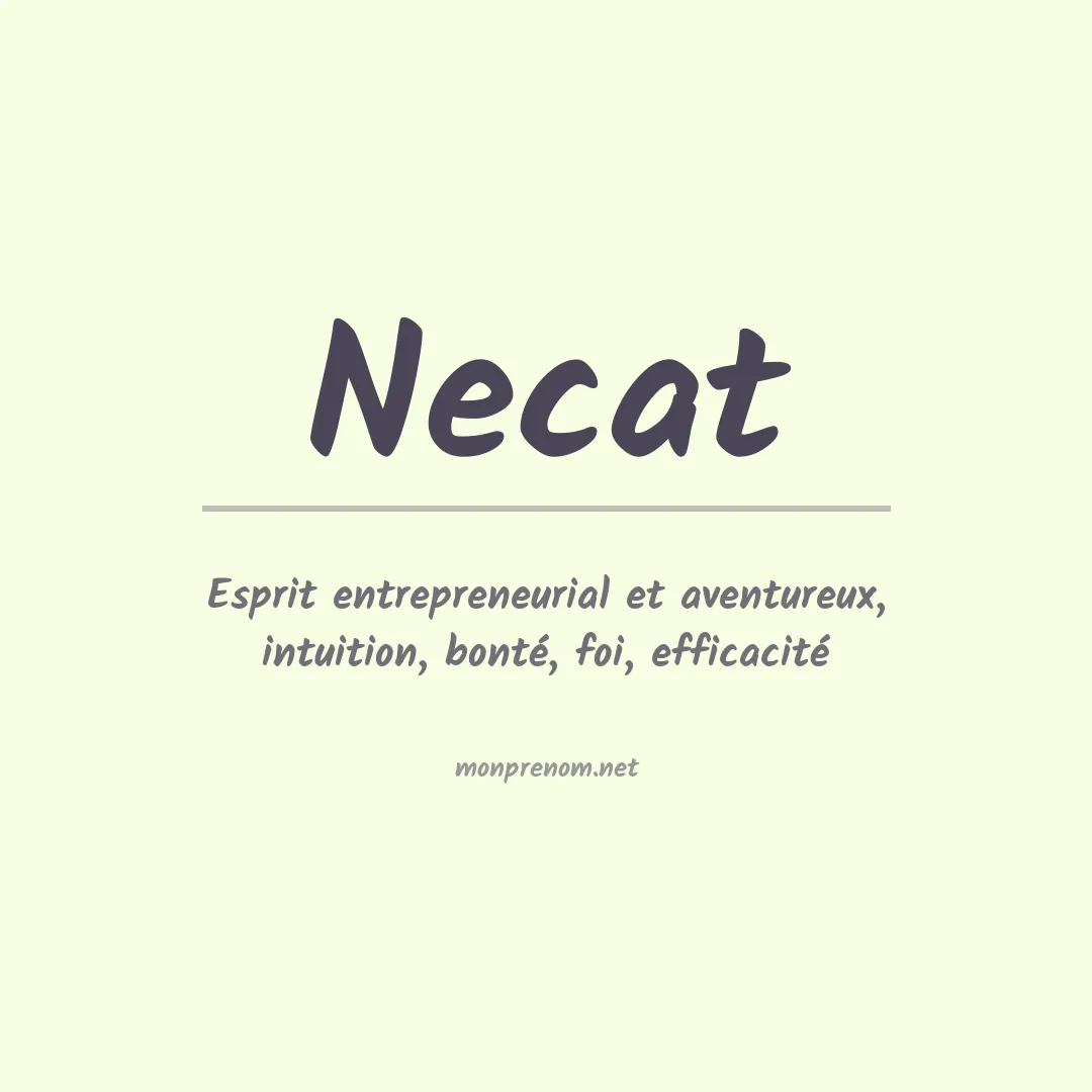 Signification du prénom Necat