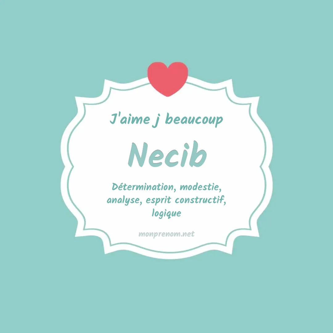 J'aime beaucoup Necib