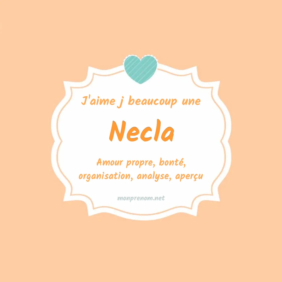 J'aime beaucoup Necla