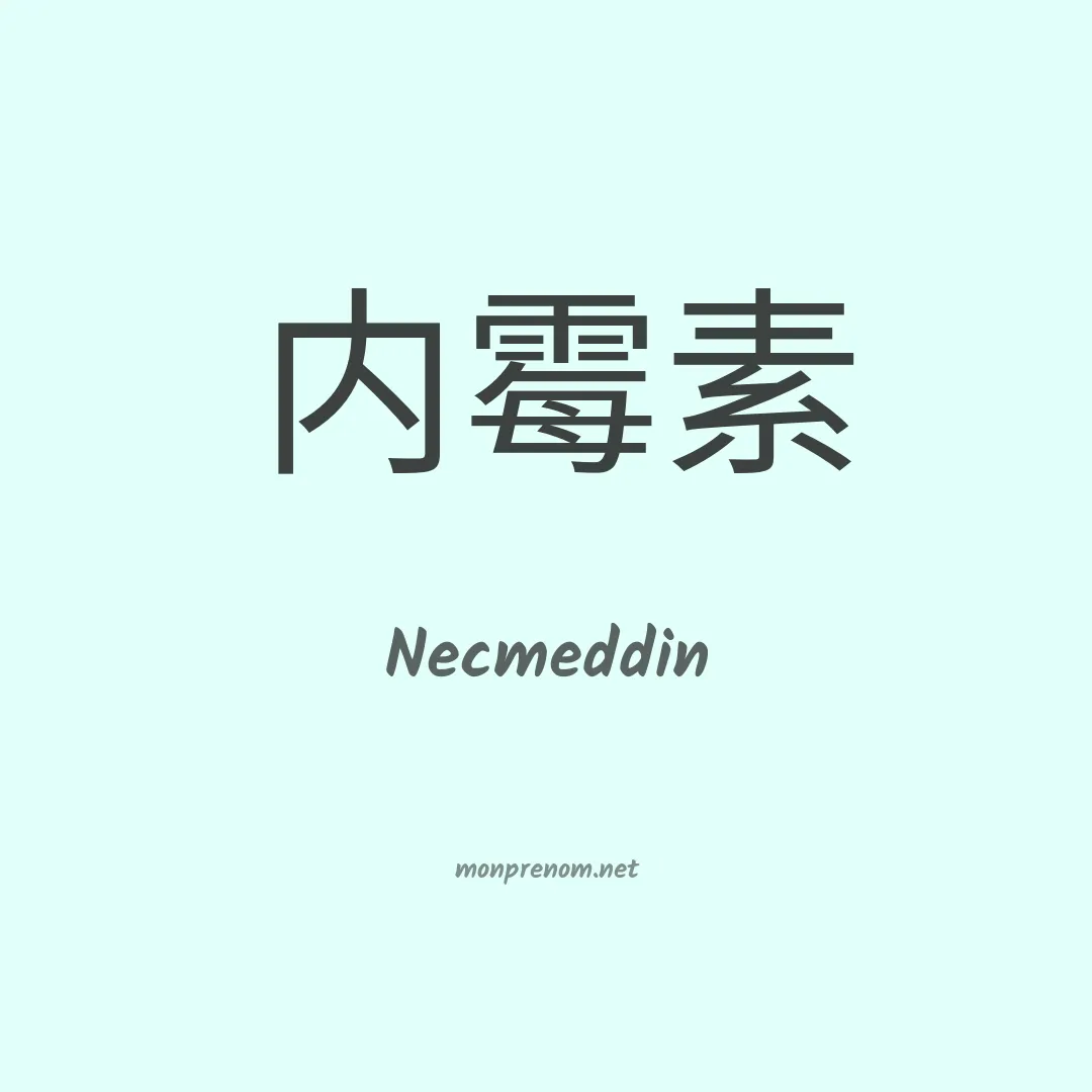 Necmeddin en chinois