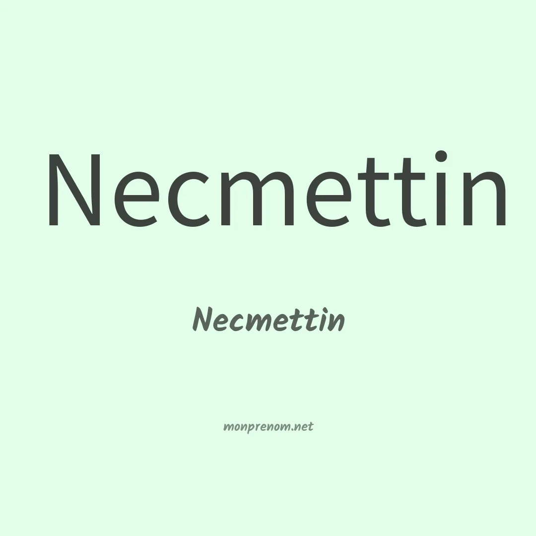 Necmettin en chinois