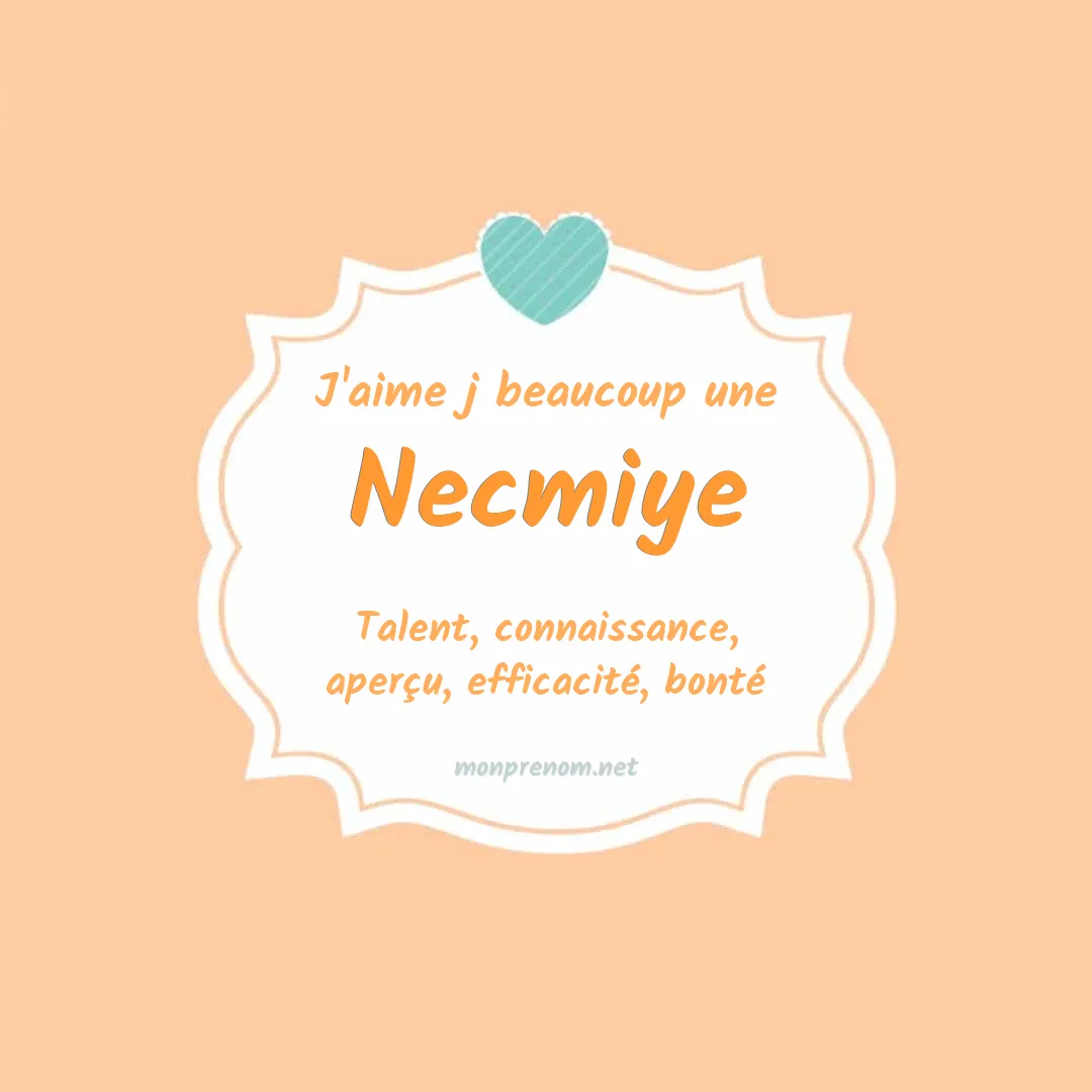 J'aime beaucoup Necmiye