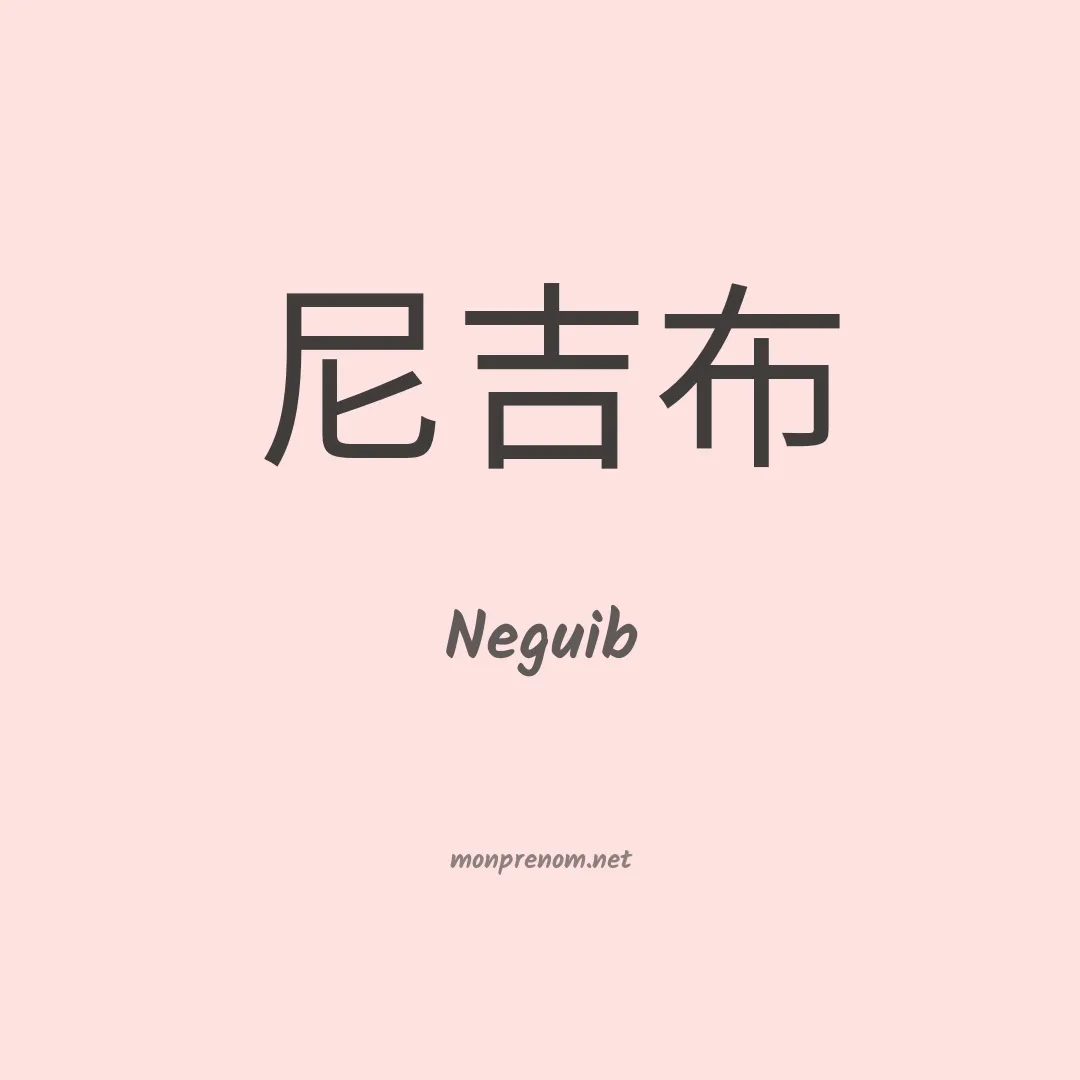 Neguib en chinois