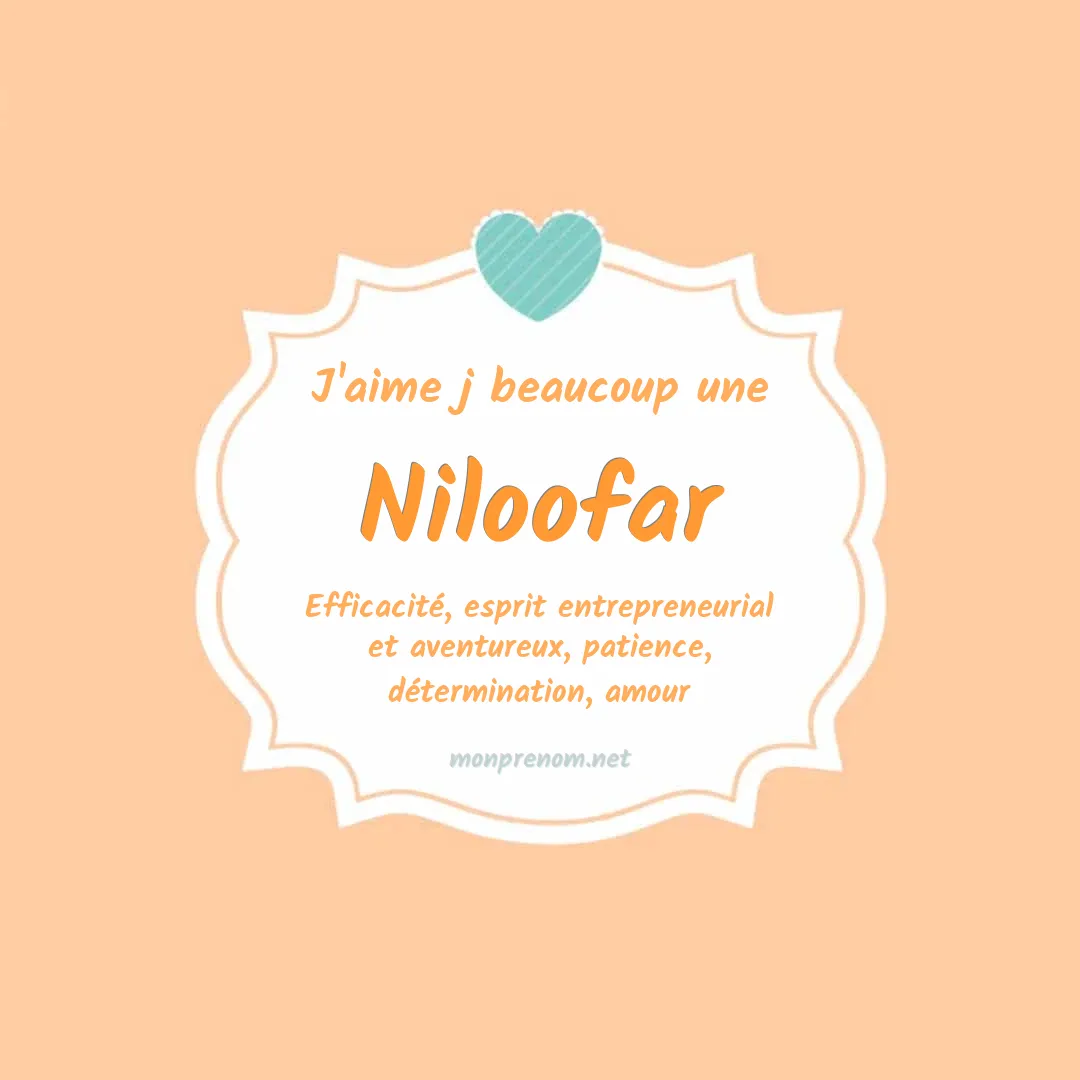 J'aime beaucoup Niloofar