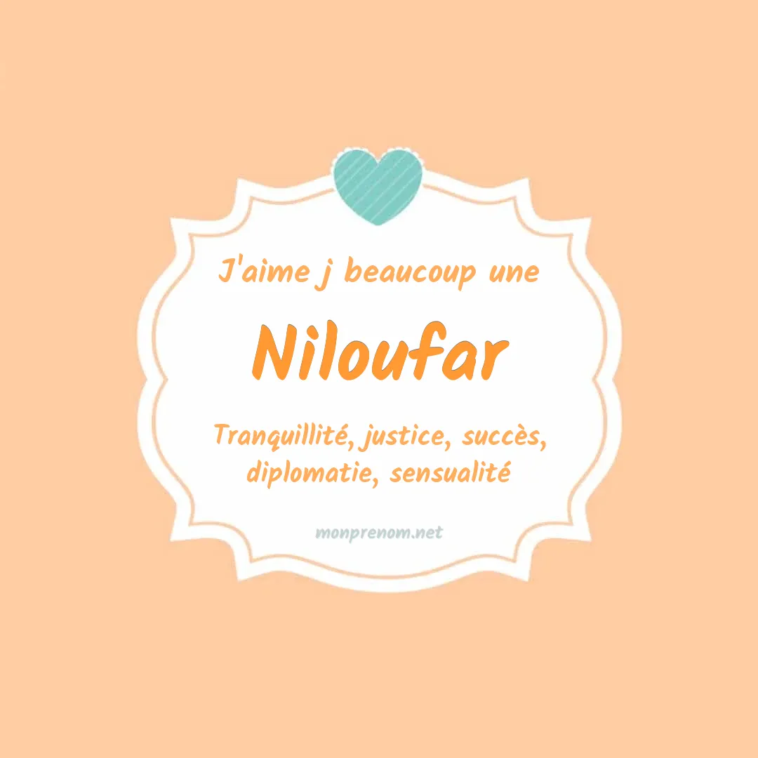 J'aime beaucoup Niloufar