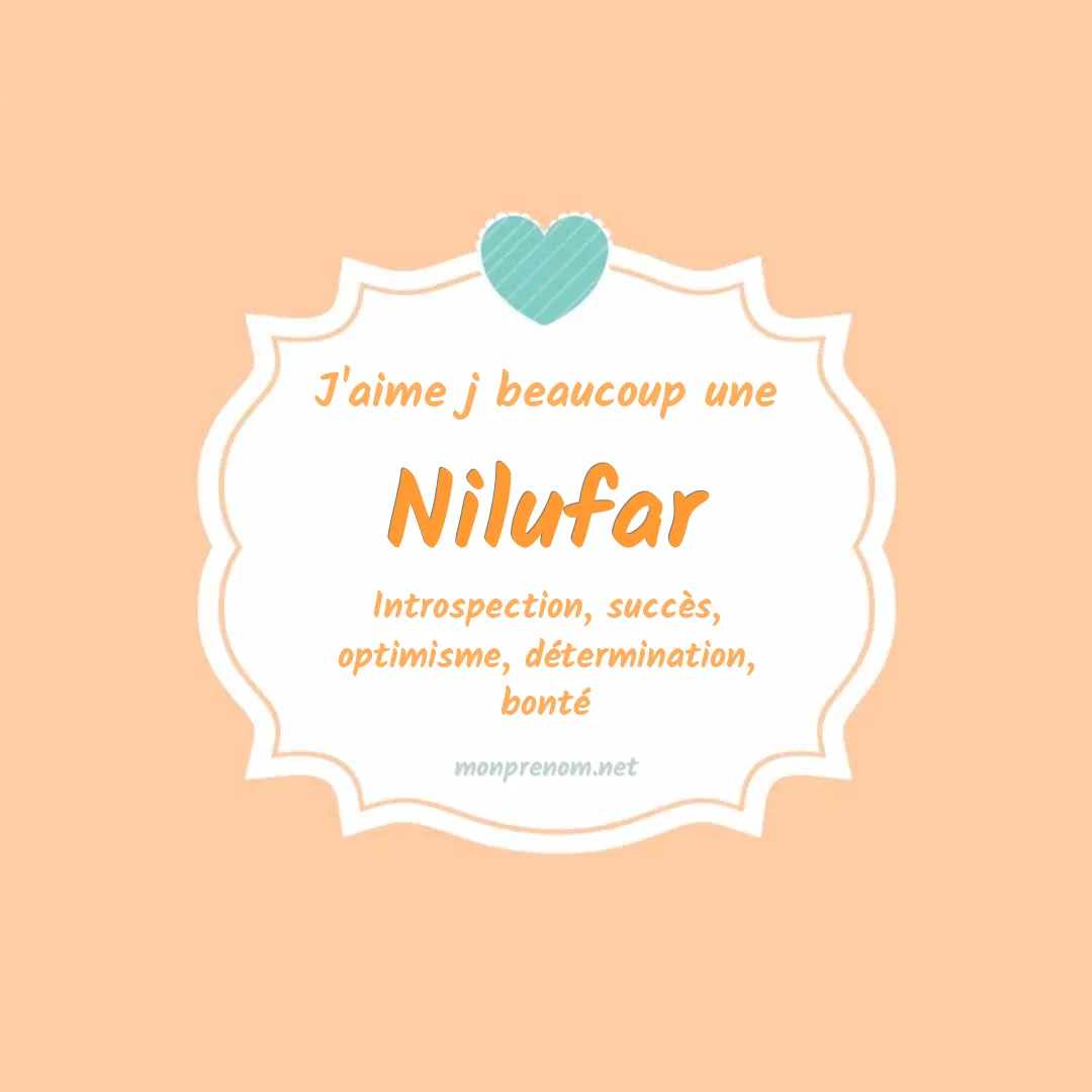 J'aime beaucoup Nilufar