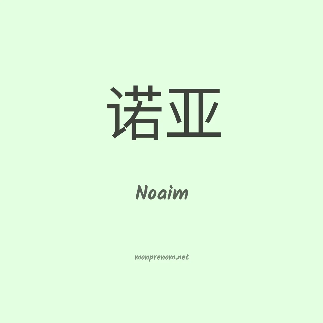 Noaim en chinois