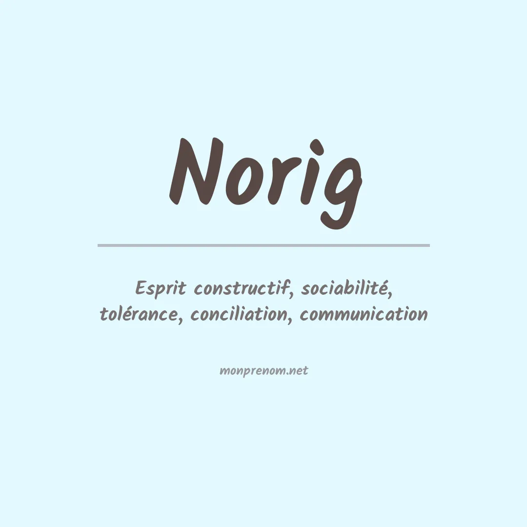 Signification du prénom Norig