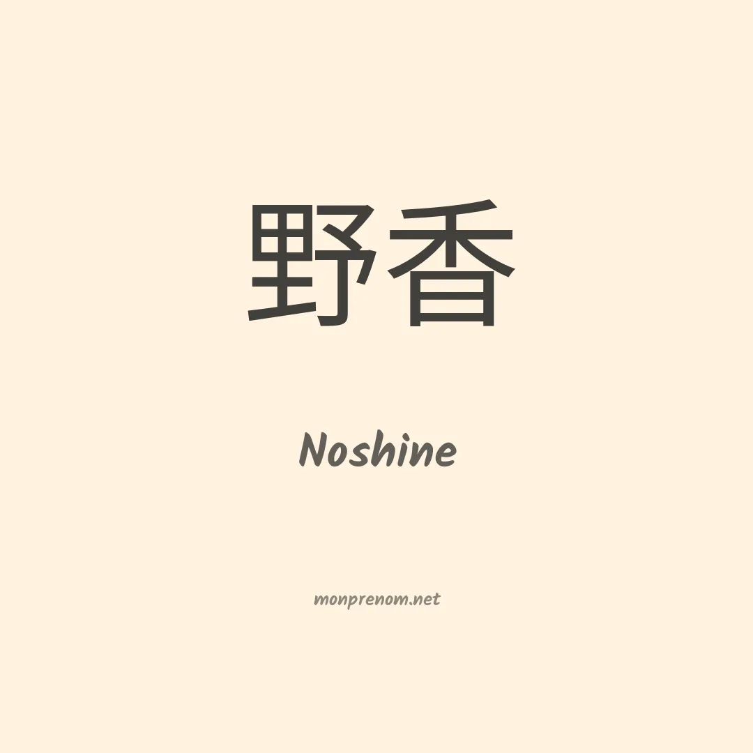 Noshine en chinois