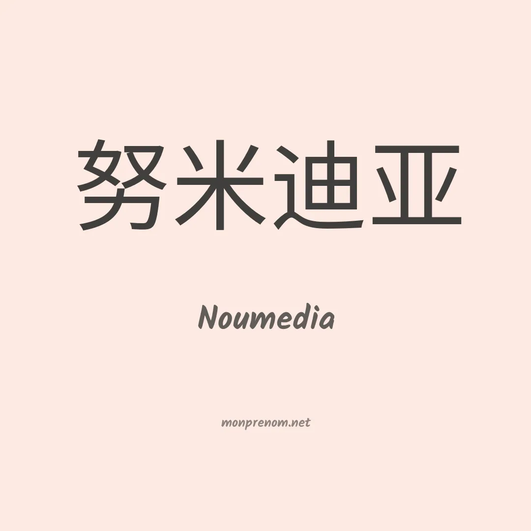 Noumedia en chinois