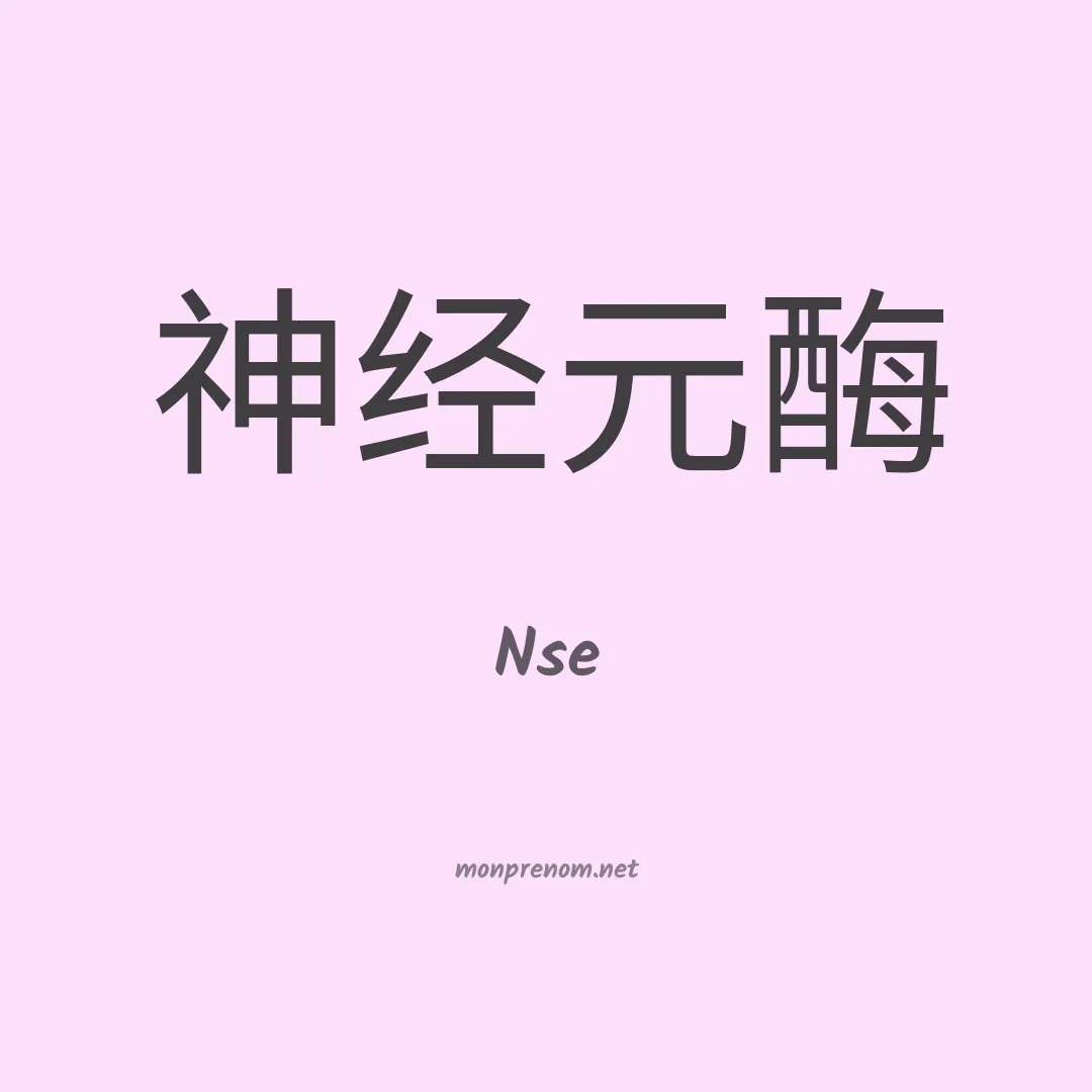 Nse en chinois