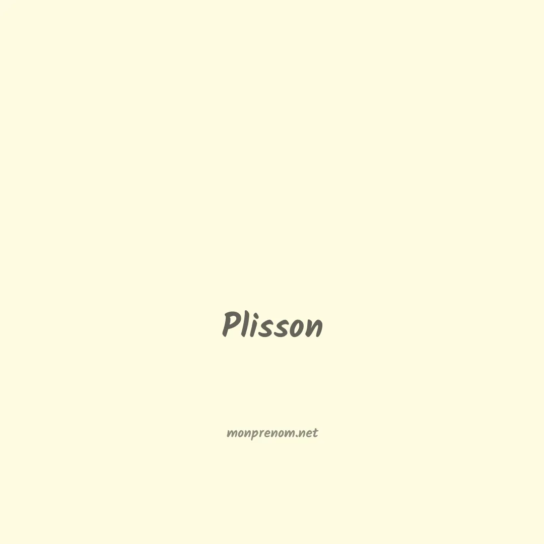 Plisson en chinois