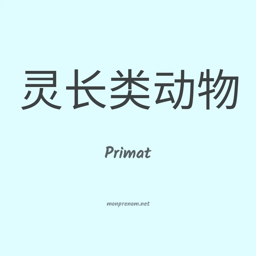 Primat en chinois