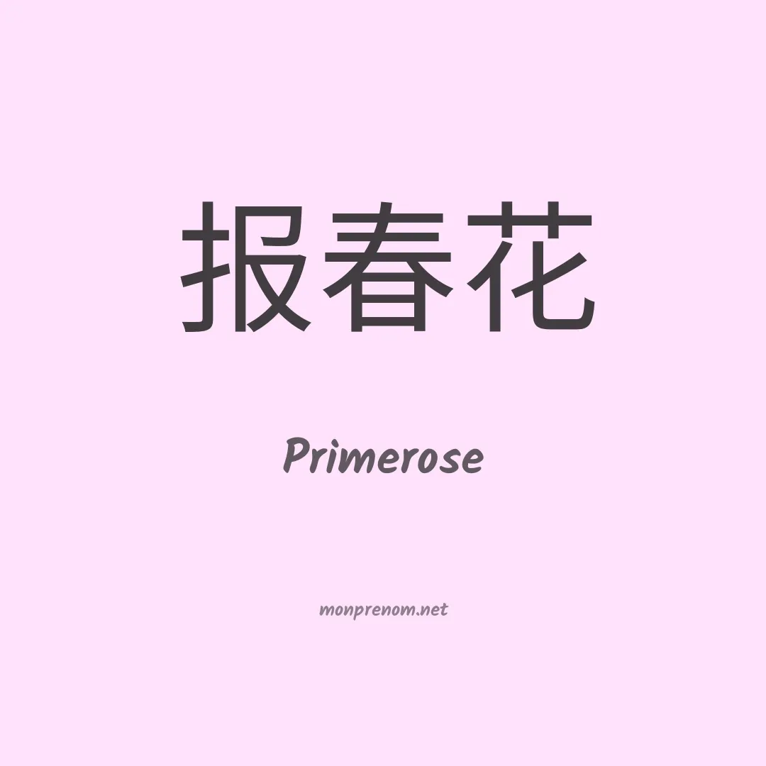 Primerose en chinois