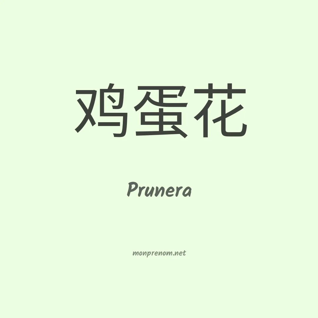 Prunera en chinois