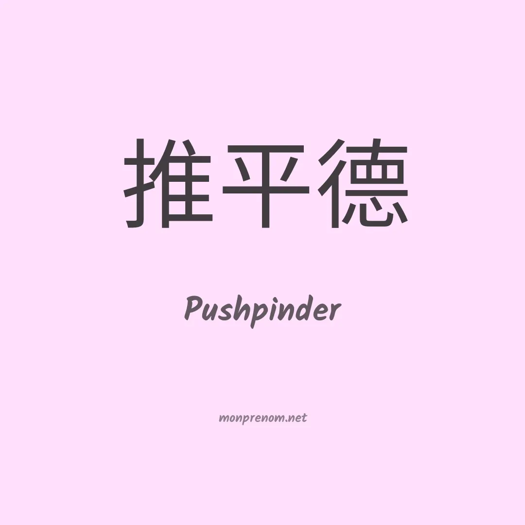Pushpinder en chinois