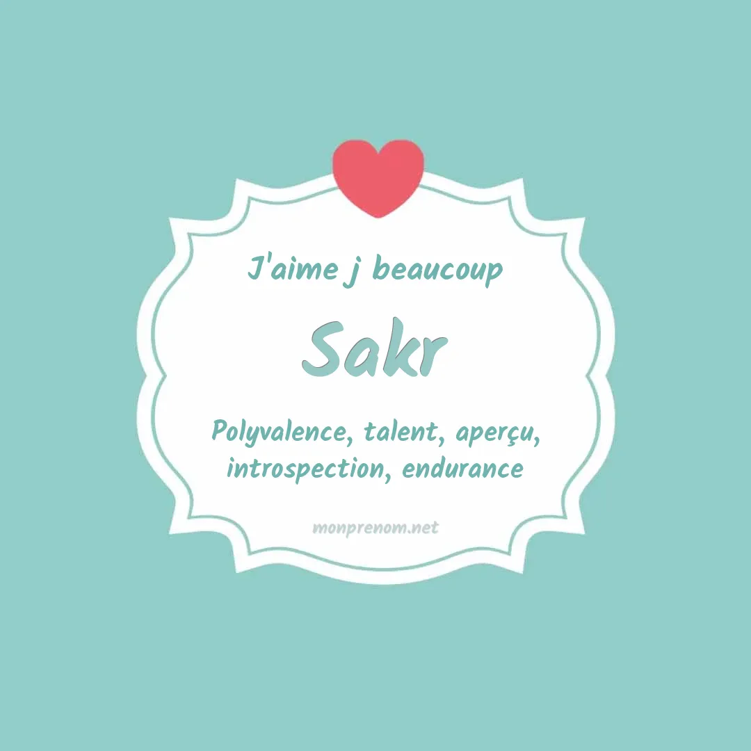 J'aime beaucoup Sakr