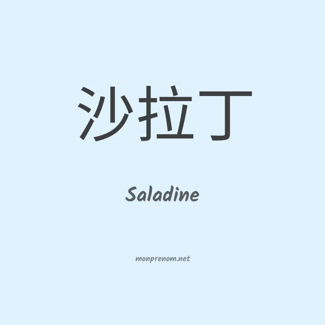 Saladine en chinois