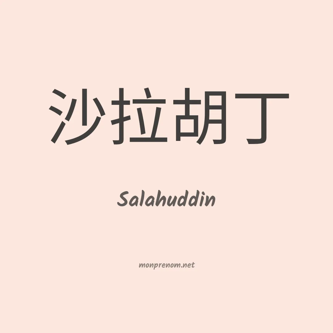 Salahuddin en chinois